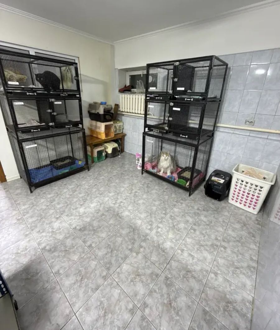Доля в ветеринарной клинике
