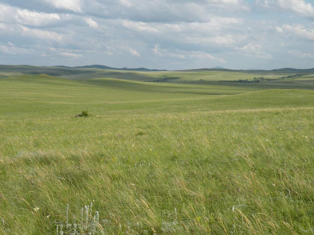 Крестьянское хозяйство