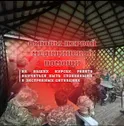 Военно-спортивный лагерь для юношей