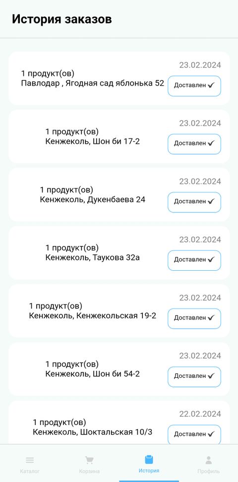 Мобильное приложение по доставке газбаллона