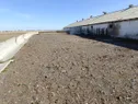 Сельскохозяйственное предприятие