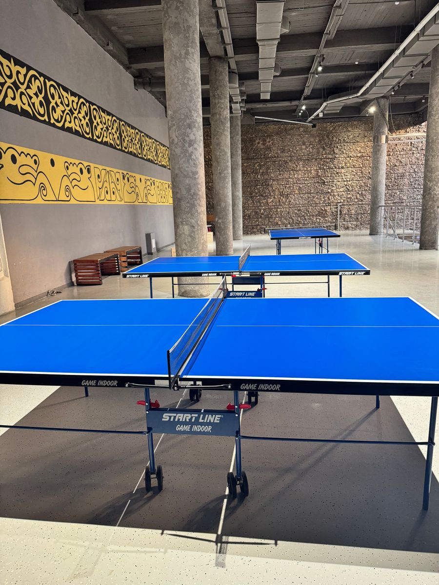 Dostyk Ping Pong