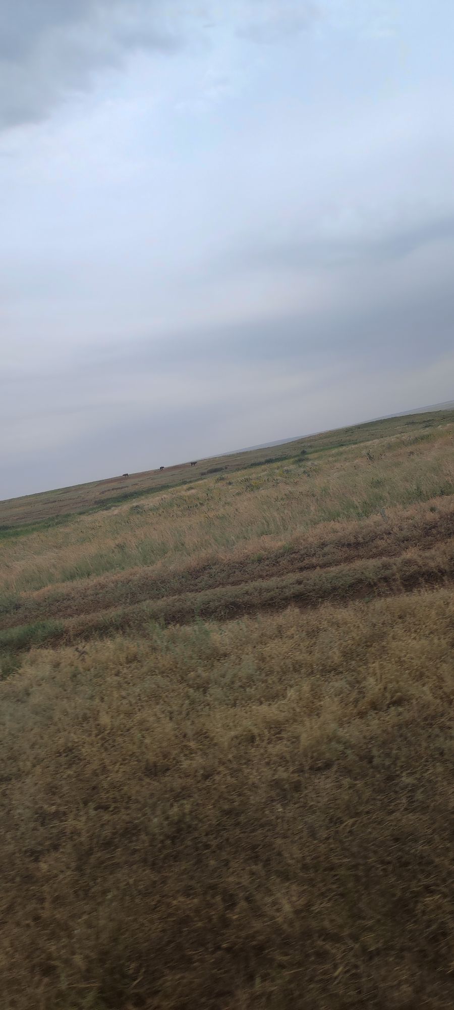 Действующее крестьянское хозяйство