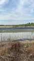 Клубнично-ягодный бизнес