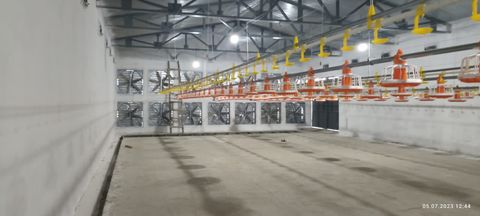 Действующая птицефабрика