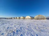Тепличный комплекс