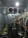 Сеть из 2-ух магазинов разливных напитков