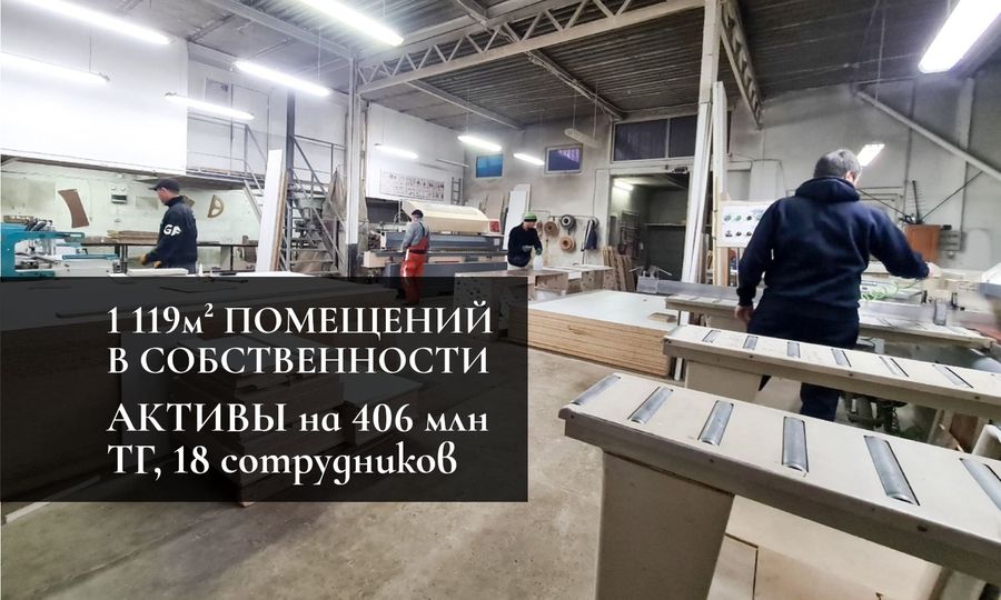 Фабрика - Завод мебели, 100 МЛН ЧИСТЫМИ в год