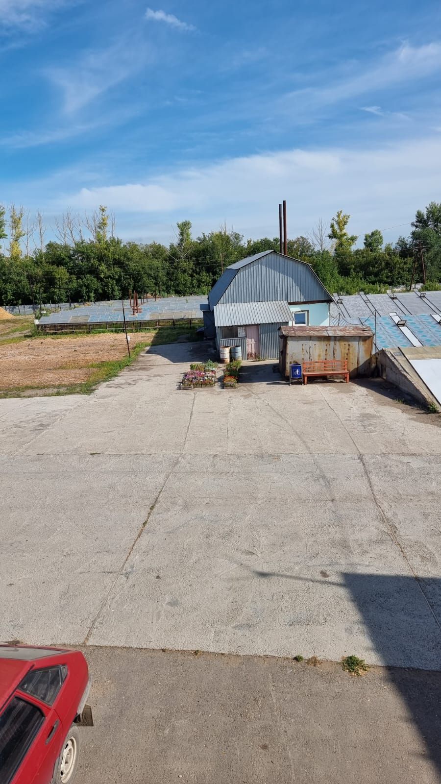 Компания по озеленению и выращиванию растений