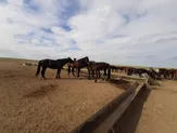 Крестьянское хозяйство