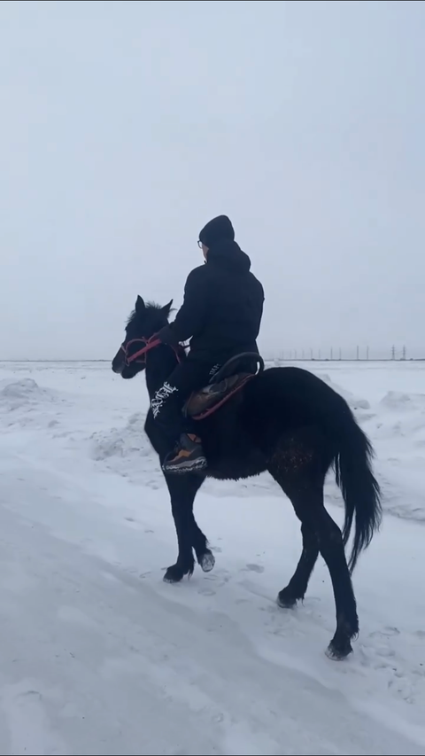 Конный клуб