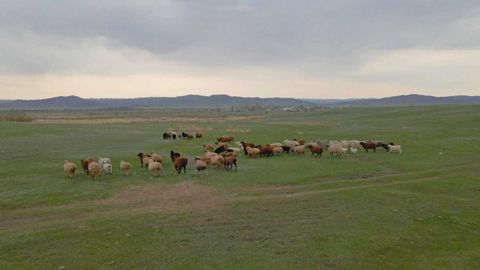 Крестьянское хозяйство
