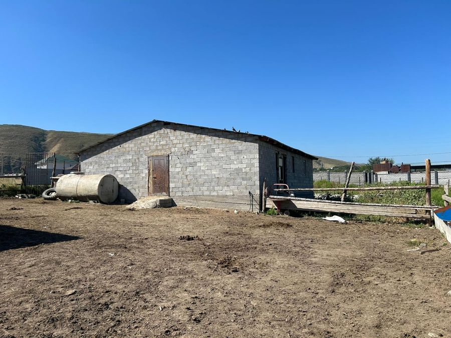 Бизнес по продаже кумыса и саумала