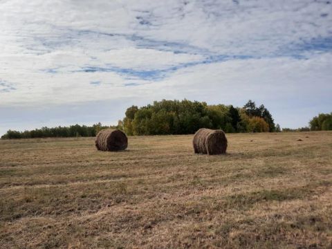 Крестьянское хозяйство