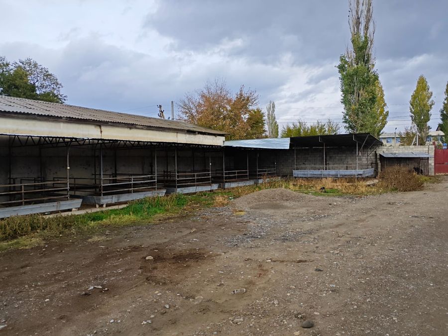 Производственный сельхоз комплекс