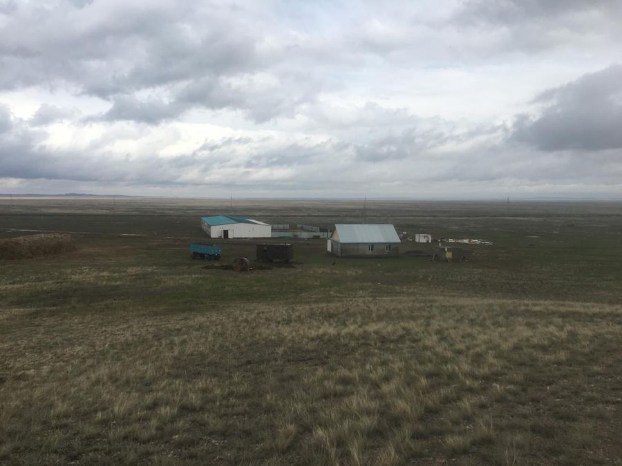 Фермерское хозяйство