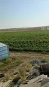 Крестьянское хозяйство