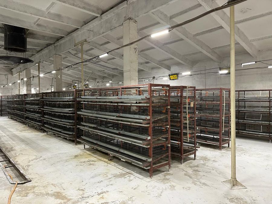 Перепелиная ферма. Продажа готового бизнеса