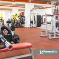 Fitness blits дейсвующии бизнес
