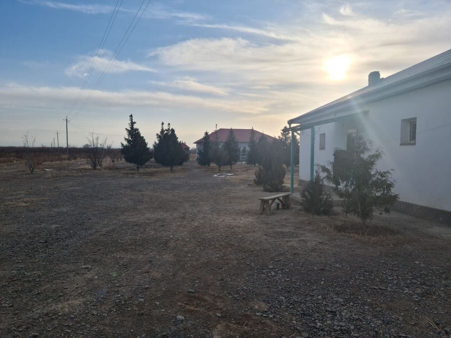 Агробизнес по племенному КРС