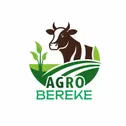 Оптовая закупка и продажа зерна