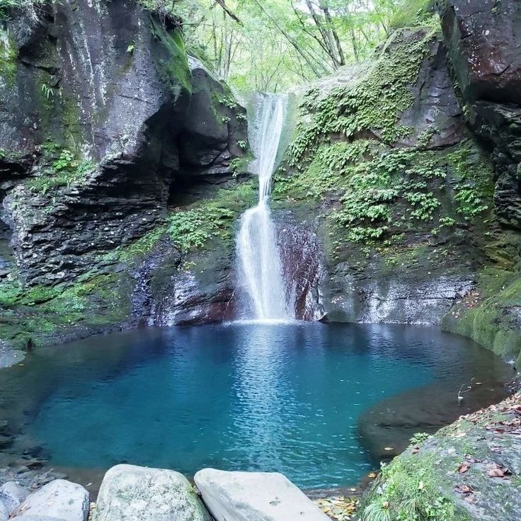 Искусственные водоёмы