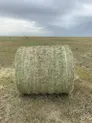 Хозяйство в форме СПК