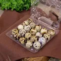Бизнес на перепелках