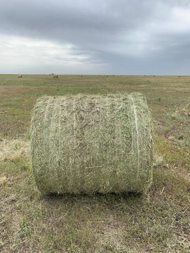 Хозяйство в форме СПК