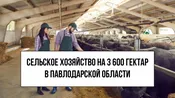 Сельское хозяйство на 3600 га возле Павлодара