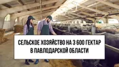 Сельское хозяйство