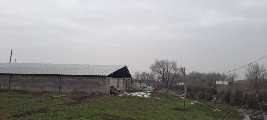 Перепелиное хозяйство