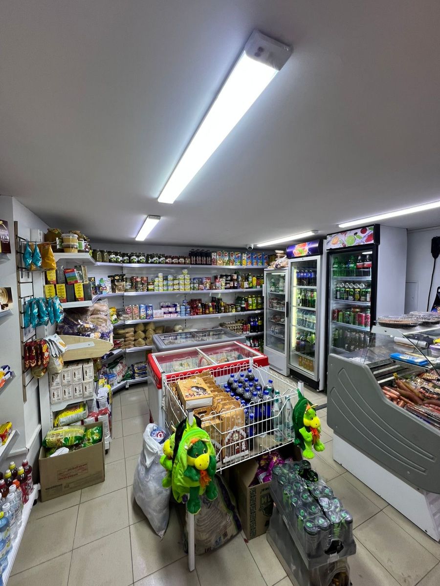Магазин продуктов и бытовой химии