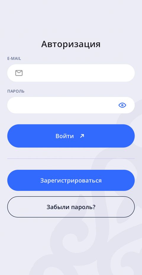 Платформа “Naiza” для МСБ