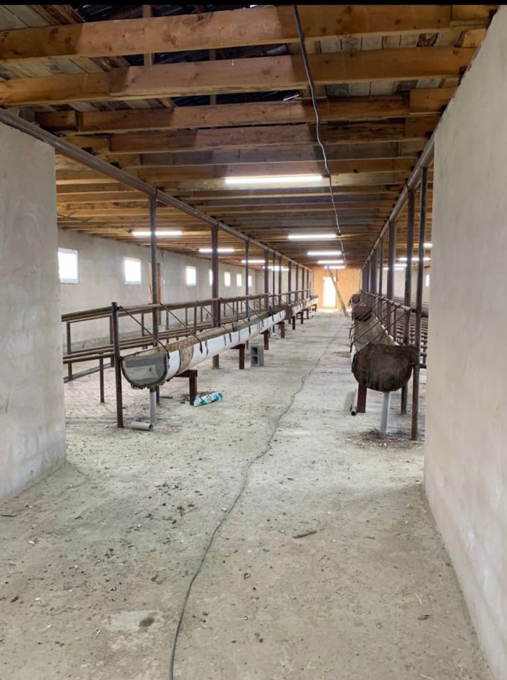 Фазенда для скотоводства