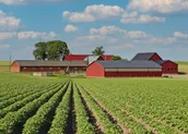 Продажа крестьянского хозяйства в Акколе