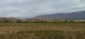 Крестьянское хозяйство