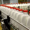 Производство молочной продукции