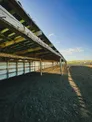 Уникальное крестьянское хозяйство у реки