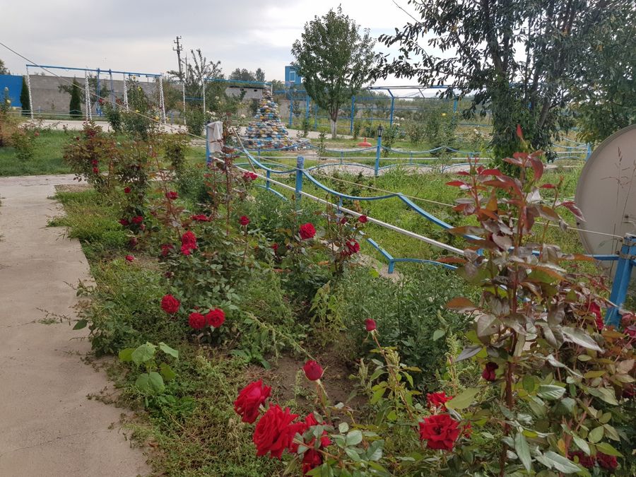 Фермерское хозяйство