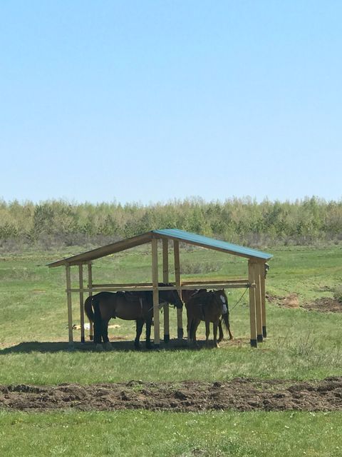 Конный клуб