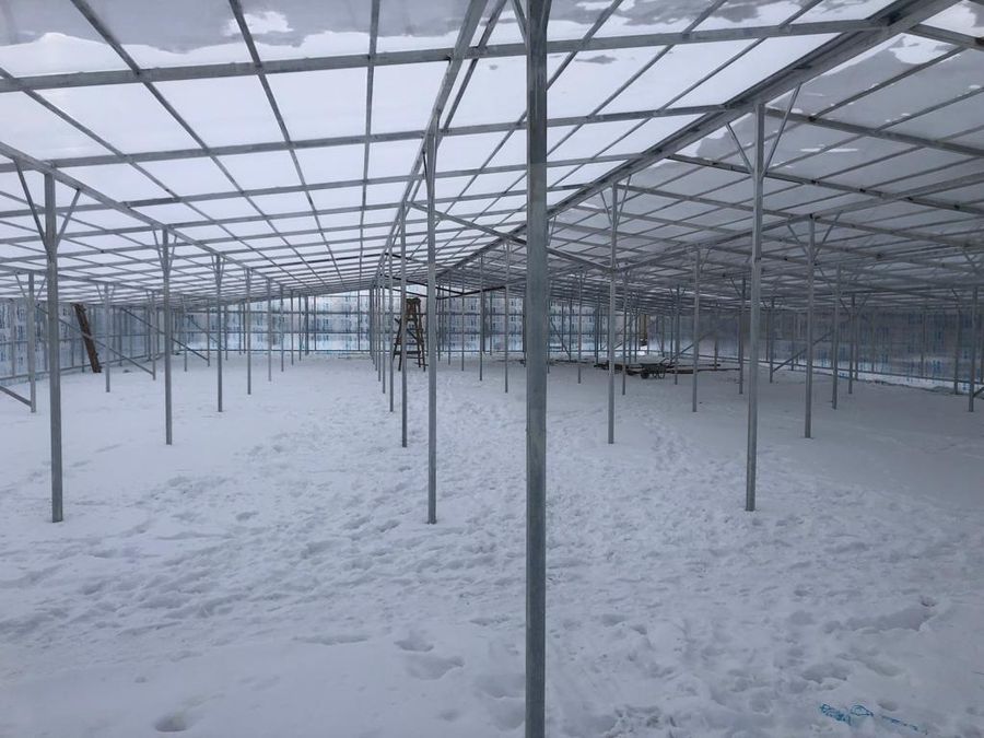 Теплица