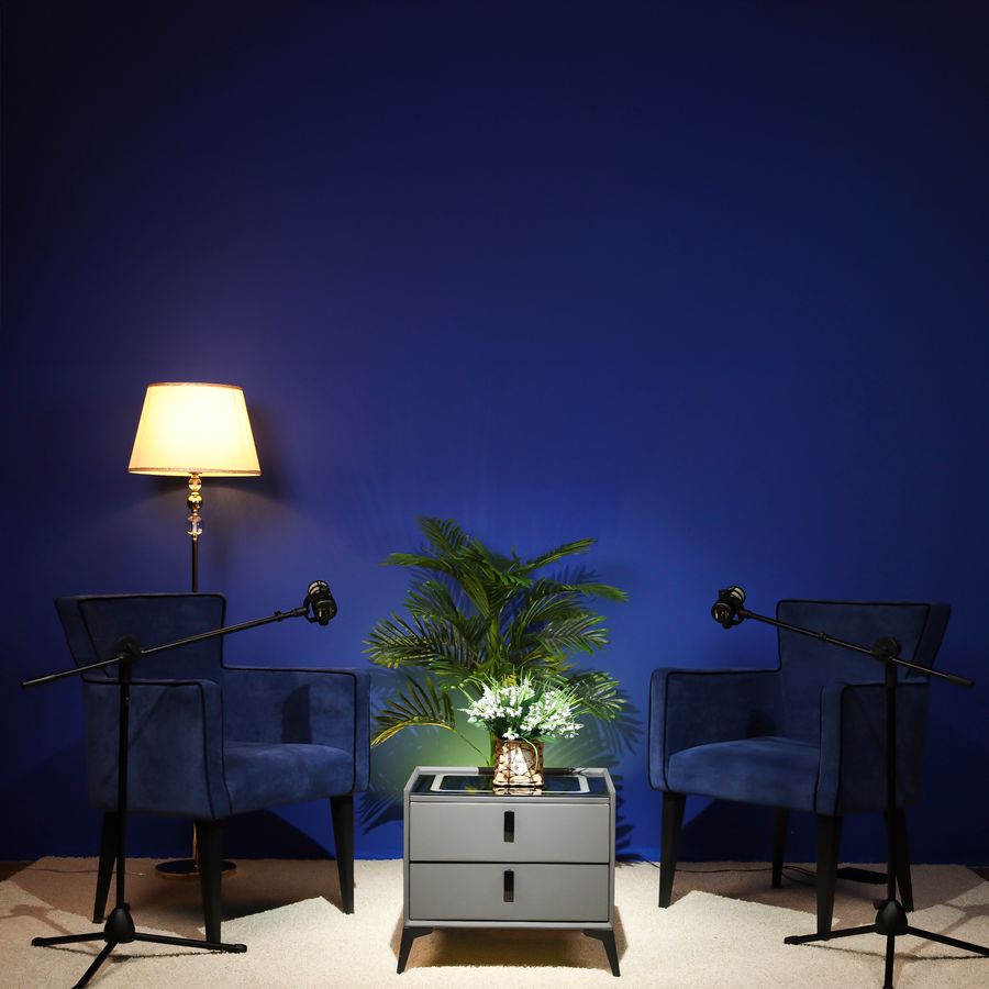Готовый МЕДИА бизнес — Видео студия