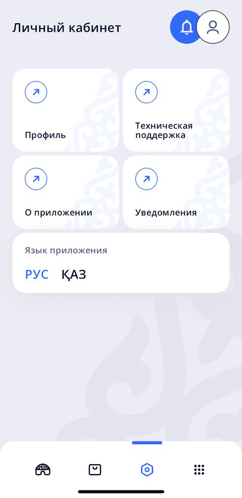 Платформа “Naiza” для МСБ