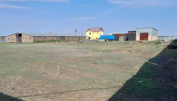 Крестьянское хозяйство, ферма, фазенда, ранчо