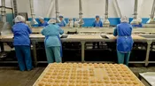 Кондитерское производство