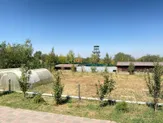 Фазенда