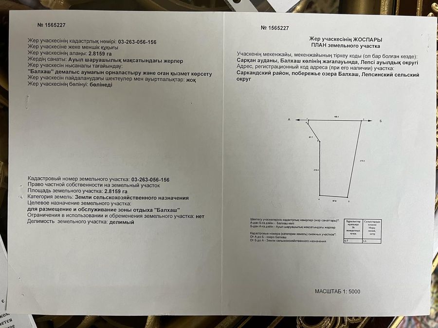 Зона отдыха на берегу озера Балхаш