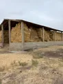Ферма в Туркестанской области