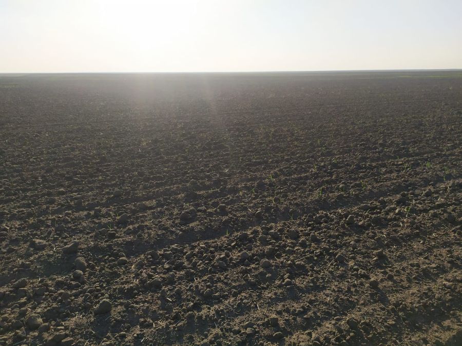 Крупное зерновое хозяйство 32000 га